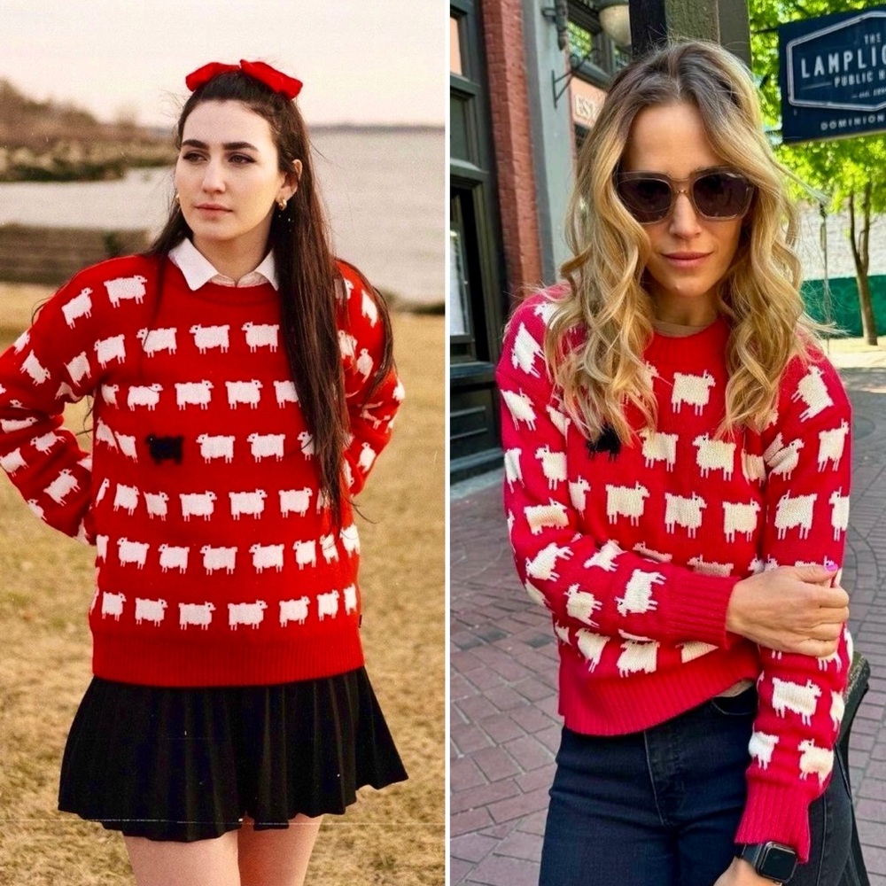 Rowing Blazers Black Sheep Sweater Diana Iconic Red White Wool Knit Pullover M - Picture 15 of 16